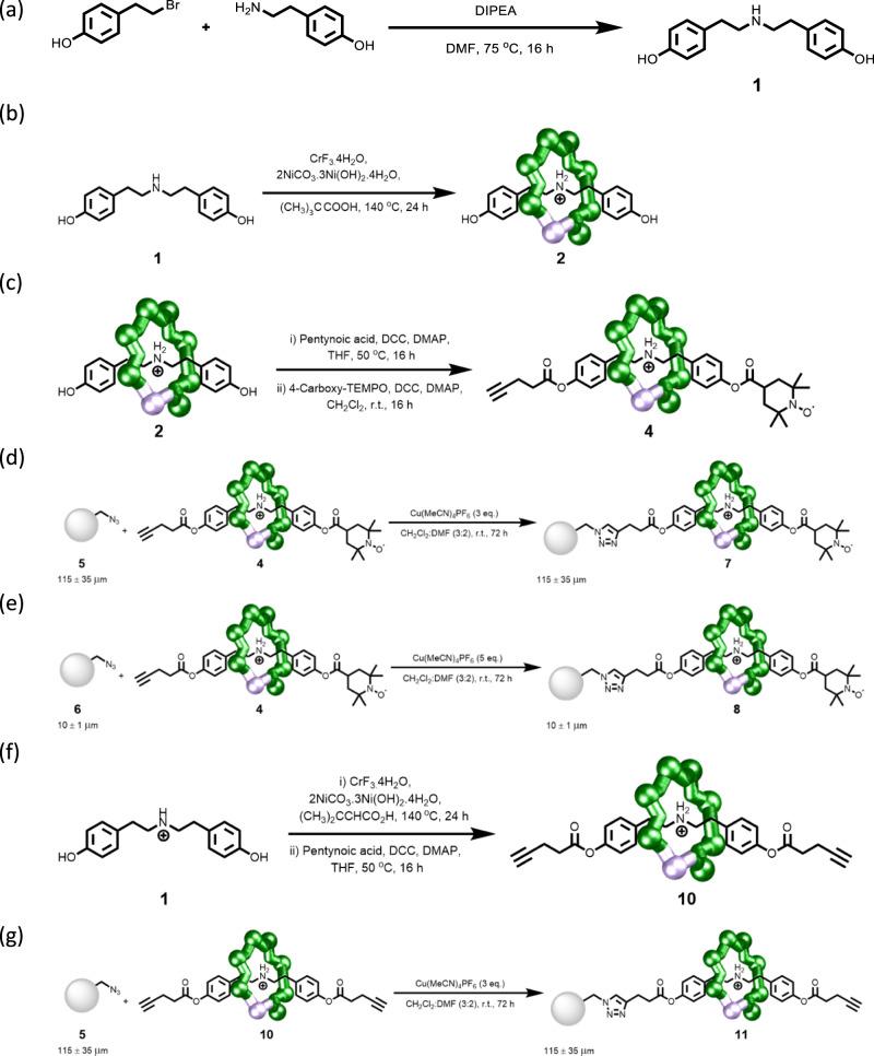 https://cdn.ncbi.nlm.nih.gov/pmc/blobs/e95c/9814693/9713c1954bfb/42004_2022_689_Fig6_HTML.jpg