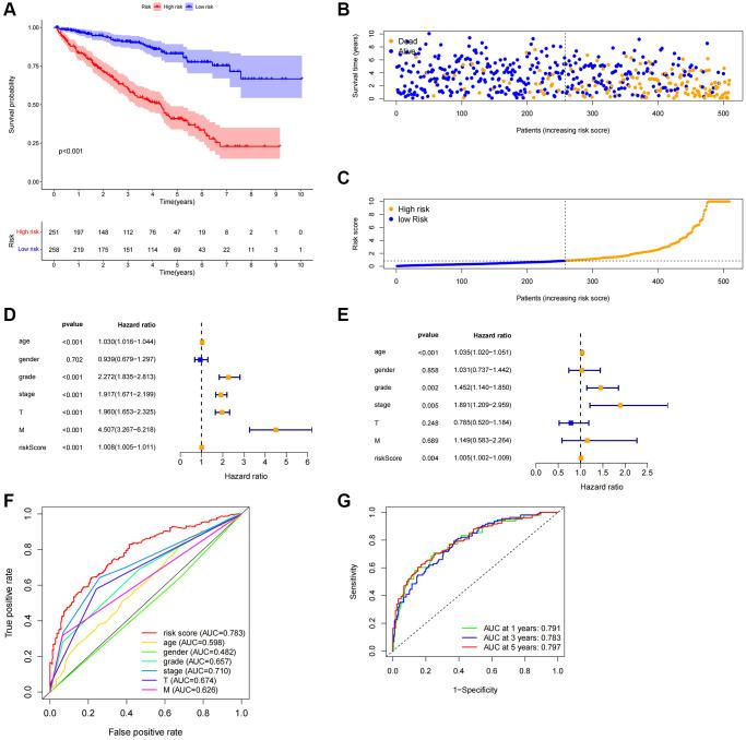 https://cdn.ncbi.nlm.nih.gov/pmc/blobs/e95f/11210217/9aad3843a952/aging-16-205871-g004.jpg