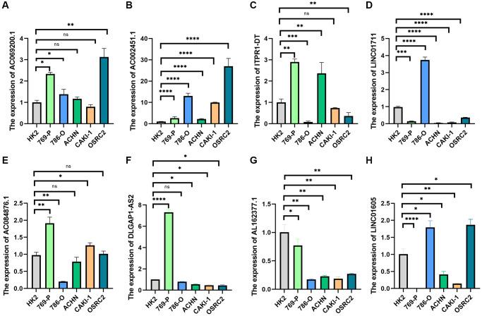 https://cdn.ncbi.nlm.nih.gov/pmc/blobs/e95f/11210217/b4d6fa4d0d95/aging-16-205871-g011.jpg