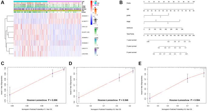 https://cdn.ncbi.nlm.nih.gov/pmc/blobs/e95f/11210217/beaa098beb72/aging-16-205871-g005.jpg