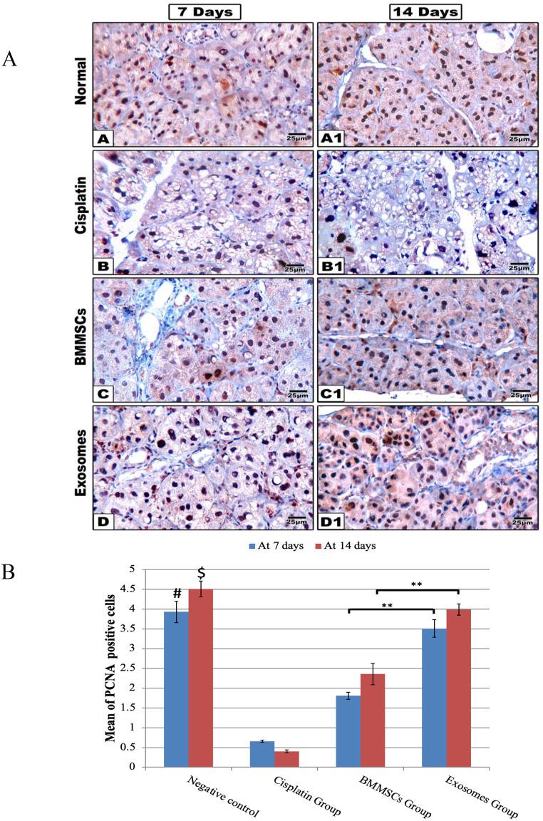 https://cdn.ncbi.nlm.nih.gov/pmc/blobs/e963/11742274/e7c30ecb2ebc/10006_2025_1331_Fig4_HTML.jpg