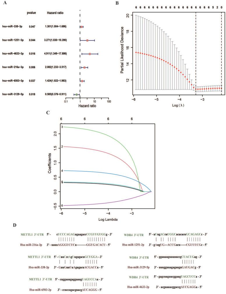 https://cdn.ncbi.nlm.nih.gov/pmc/blobs/e964/11493003/0e5529c8896a/jcav15p6022g003.jpg