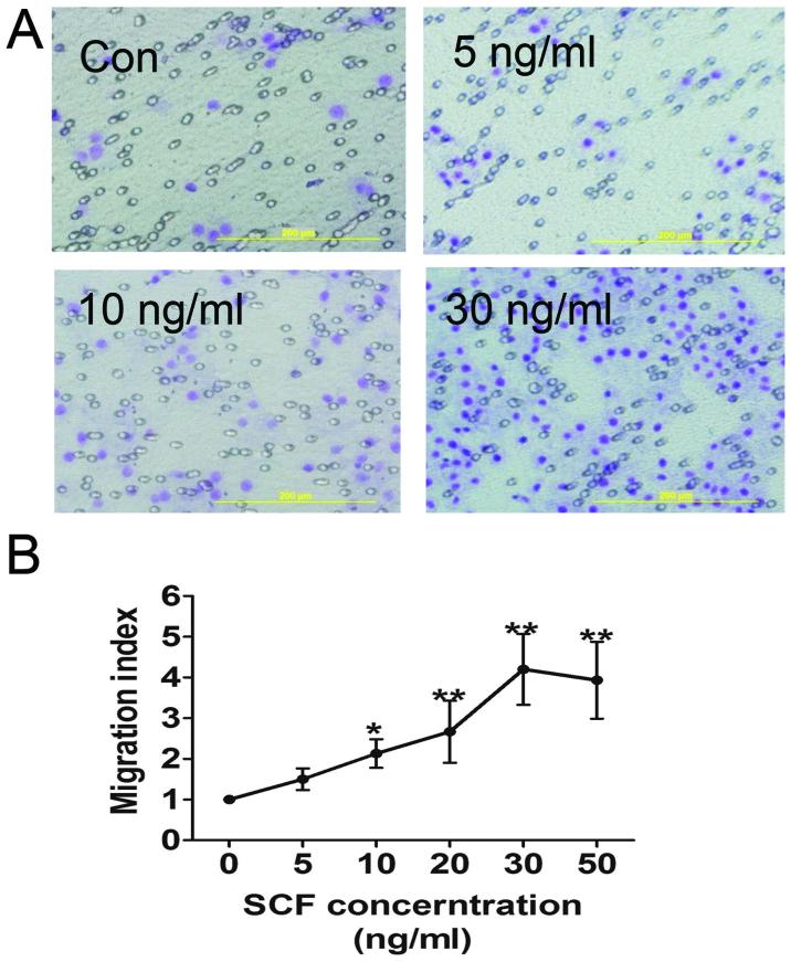 https://cdn.ncbi.nlm.nih.gov/pmc/blobs/e964/4072340/d8c5680e1ebe/IJMM-34-01-0112-g01.jpg