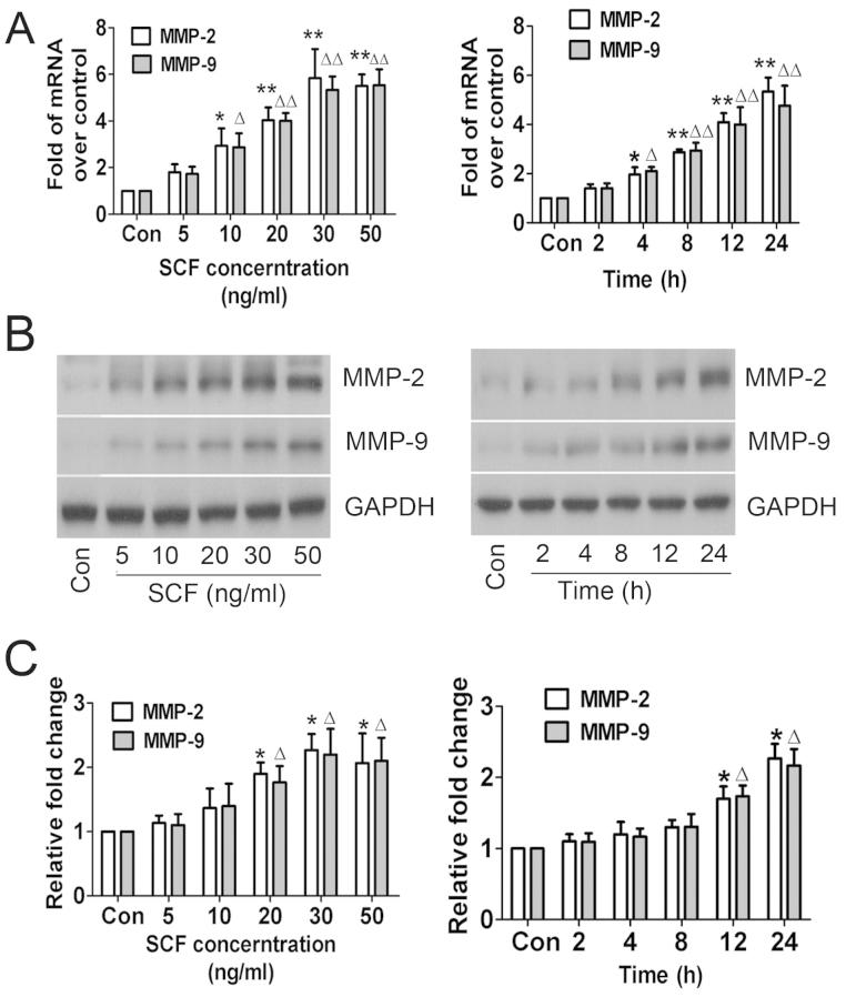 https://cdn.ncbi.nlm.nih.gov/pmc/blobs/e964/4072340/fd98b41851be/IJMM-34-01-0112-g02.jpg