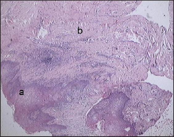 https://cdn.ncbi.nlm.nih.gov/pmc/blobs/e967/3886060/12977befeac1/jomr-02-e3-g003.jpg