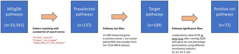https://cdn.ncbi.nlm.nih.gov/pmc/blobs/e968/11098418/1a9fd2430f38/pone.0302696.g001.jpg