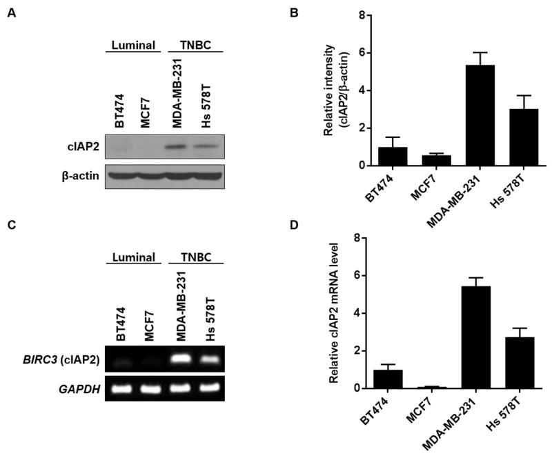 https://cdn.ncbi.nlm.nih.gov/pmc/blobs/e968/5667998/1bf22b765c82/oncotarget-08-78781-g003.jpg