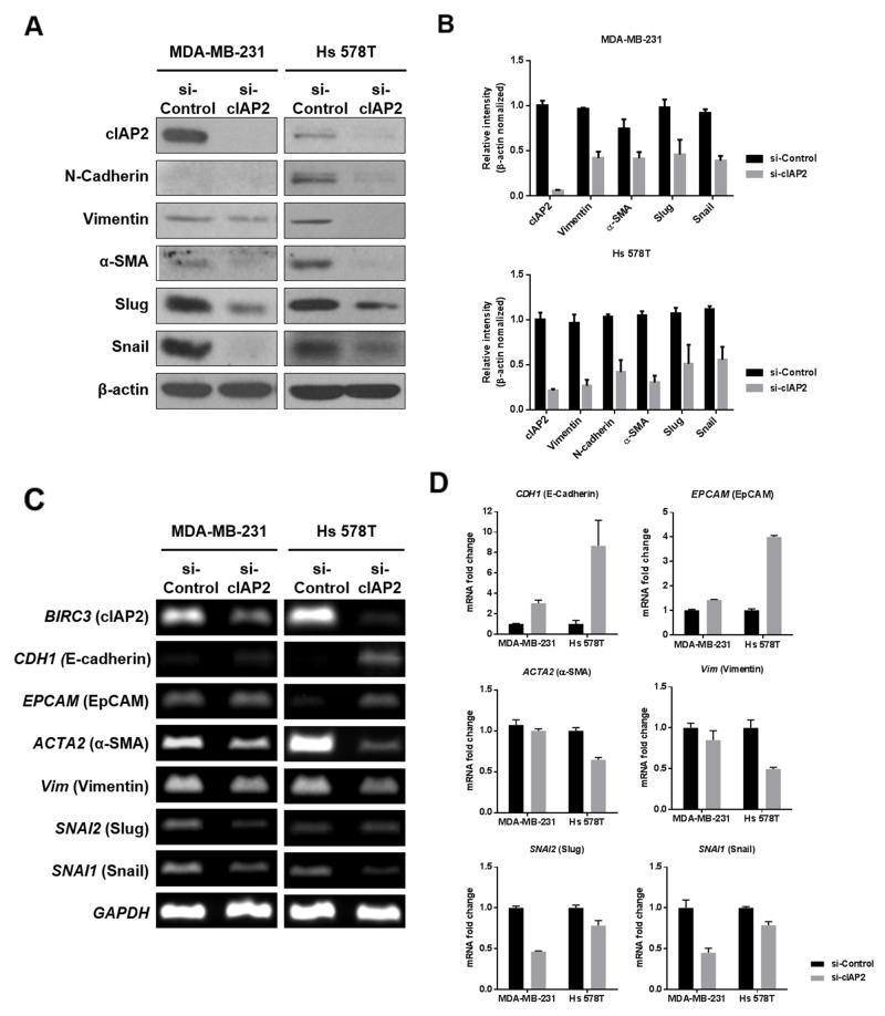https://cdn.ncbi.nlm.nih.gov/pmc/blobs/e968/5667998/b54d50429c9a/oncotarget-08-78781-g005.jpg