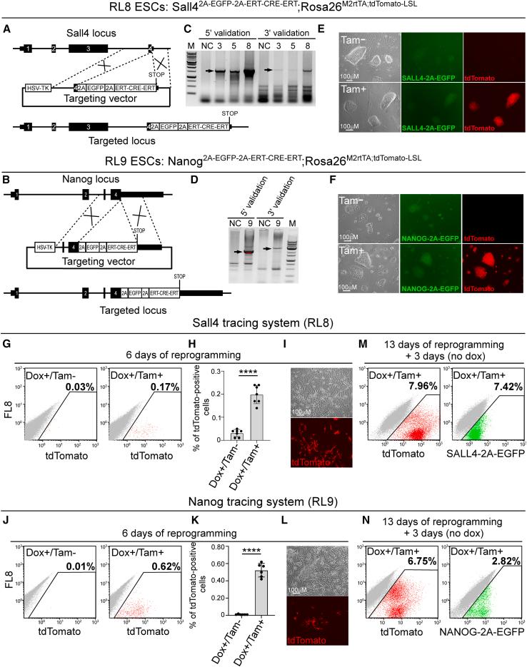 https://cdn.ncbi.nlm.nih.gov/pmc/blobs/e96a/10679652/1212ba2c6086/gr5.jpg