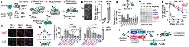 https://cdn.ncbi.nlm.nih.gov/pmc/blobs/e96a/6707801/4fd24f5810b1/nihms-1006259-f0001.jpg