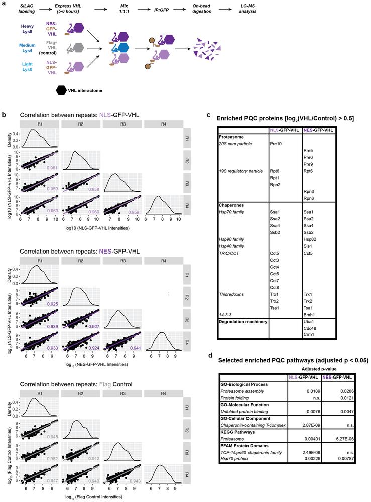 https://cdn.ncbi.nlm.nih.gov/pmc/blobs/e96a/6707801/6f2703455163/nihms-1006259-f0011.jpg