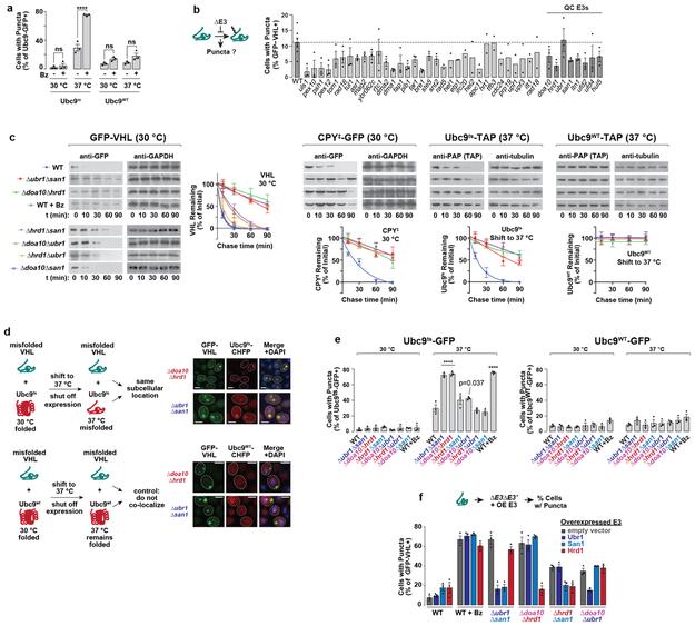 https://cdn.ncbi.nlm.nih.gov/pmc/blobs/e96a/6707801/b7fc6e949459/nihms-1006259-f0005.jpg
