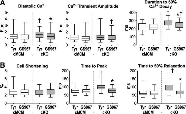 https://cdn.ncbi.nlm.nih.gov/pmc/blobs/e96a/9076421/114e321cec87/ajpheart.00465.2021_f006.jpg