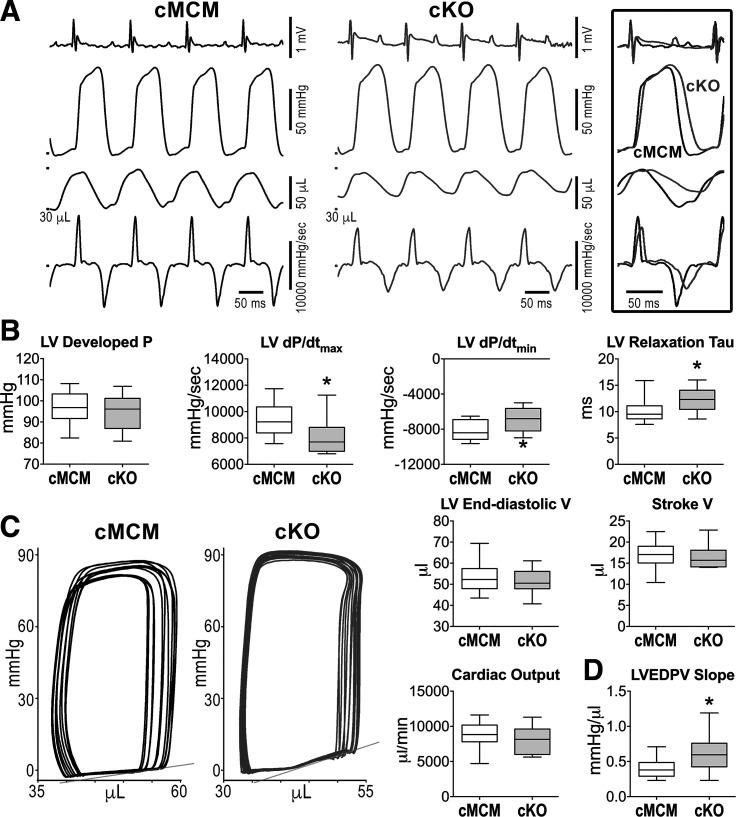 https://cdn.ncbi.nlm.nih.gov/pmc/blobs/e96a/9076421/42be501dc6f9/ajpheart.00465.2021_f004.jpg