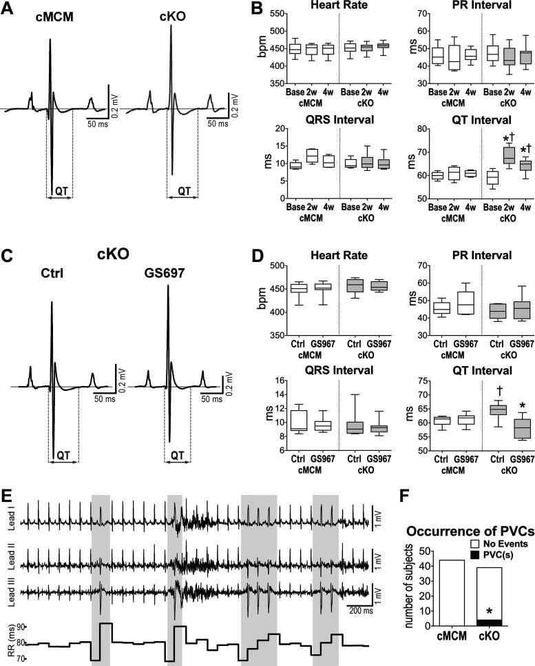 https://cdn.ncbi.nlm.nih.gov/pmc/blobs/e96a/9076421/8acdba798f23/ajpheart.00465.2021_f002.jpg