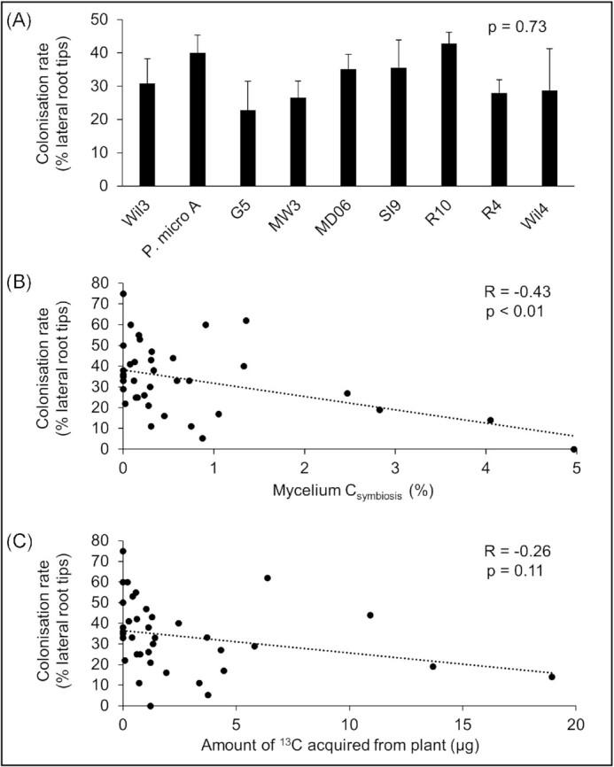 https://cdn.ncbi.nlm.nih.gov/pmc/blobs/e96d/10191194/beb1d2242367/fiad037fig4.jpg