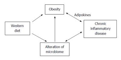 https://cdn.ncbi.nlm.nih.gov/pmc/blobs/e96d/5028803/9ed741003cfb/WJG-22-7868-g001.jpg