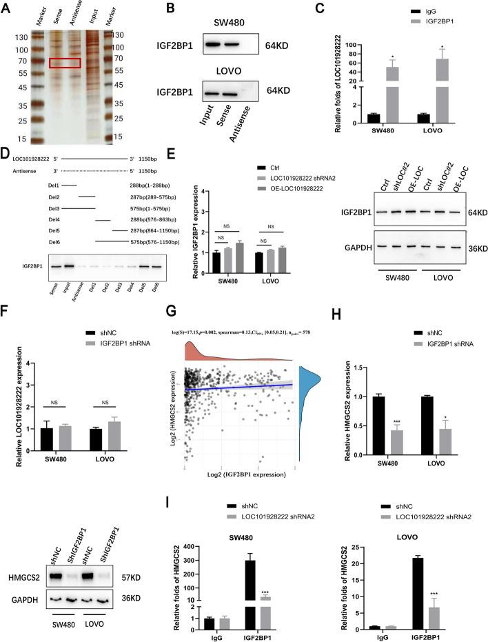 https://cdn.ncbi.nlm.nih.gov/pmc/blobs/e96e/11223299/53dec3f0c250/13046_2024_3095_Fig4_HTML.jpg
