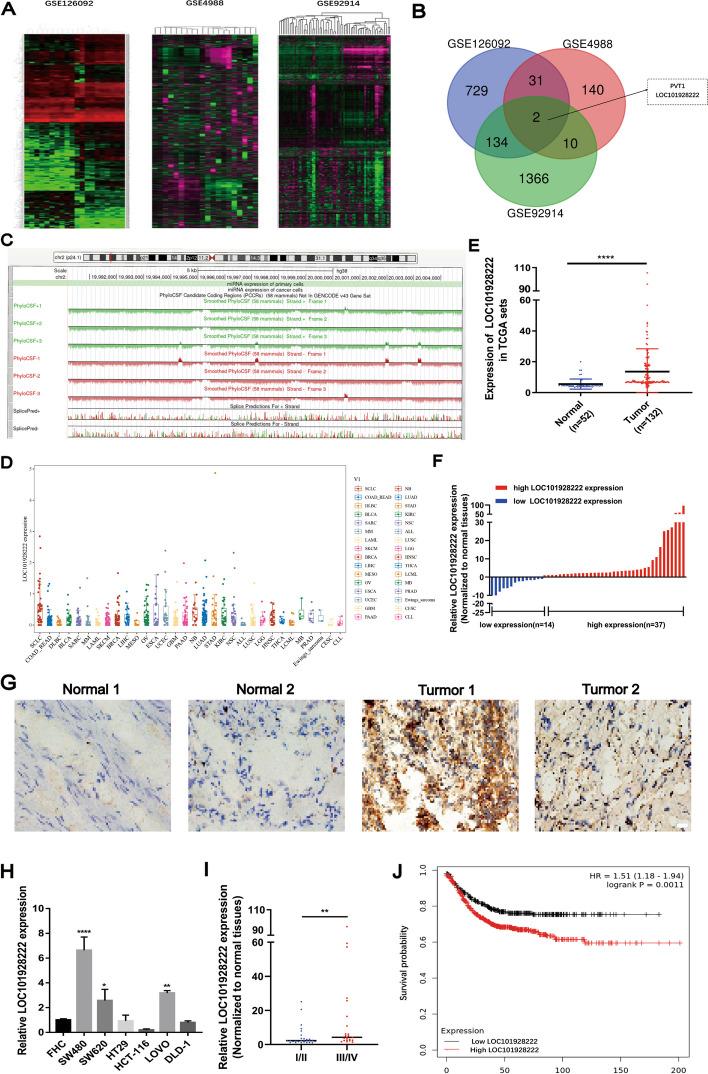 https://cdn.ncbi.nlm.nih.gov/pmc/blobs/e96e/11223299/7a25574179bc/13046_2024_3095_Fig1_HTML.jpg