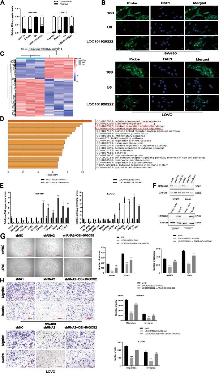 https://cdn.ncbi.nlm.nih.gov/pmc/blobs/e96e/11223299/d4e406a5a561/13046_2024_3095_Fig3_HTML.jpg