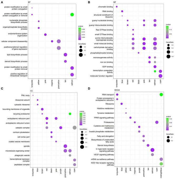 https://cdn.ncbi.nlm.nih.gov/pmc/blobs/e96e/8299102/dc25eeb63830/fvets-08-688684-g0002.jpg