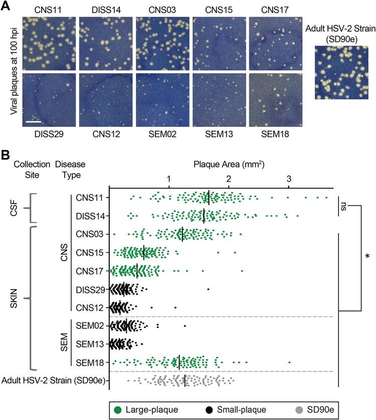https://cdn.ncbi.nlm.nih.gov/pmc/blobs/e96f/6393728/9f27c7e0748a/mSphere.00590-18-f0001.jpg