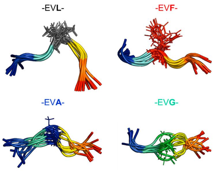 https://cdn.ncbi.nlm.nih.gov/pmc/blobs/e96f/7866422/71523f3e6473/ijms-22-01364-g002.jpg