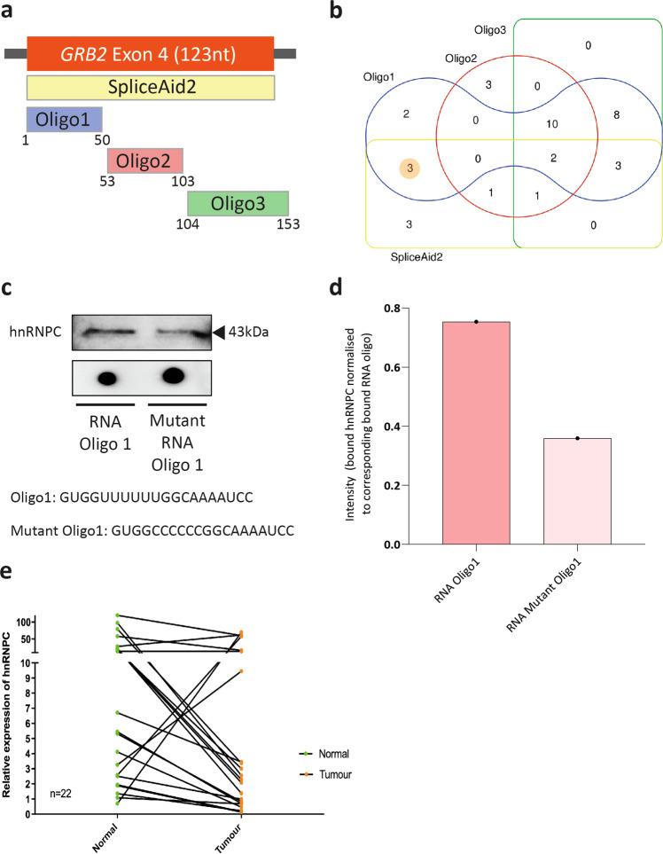 https://cdn.ncbi.nlm.nih.gov/pmc/blobs/e970/9519967/07810dd56300/42003_2022_3985_Fig4_HTML.jpg