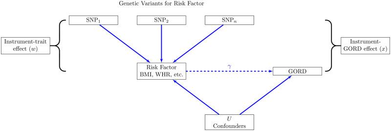 https://cdn.ncbi.nlm.nih.gov/pmc/blobs/e972/7750946/54f3ffd140aa/dyaa082f1.jpg
