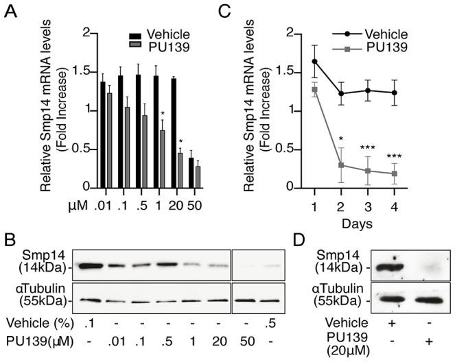 https://cdn.ncbi.nlm.nih.gov/pmc/blobs/e974/4014452/91ddca24124d/ppat.1004116.g002.jpg