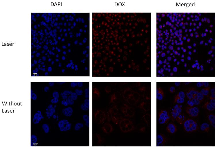 https://cdn.ncbi.nlm.nih.gov/pmc/blobs/e975/11434831/abd411aefbca/pharmaceutics-16-01164-g005.jpg