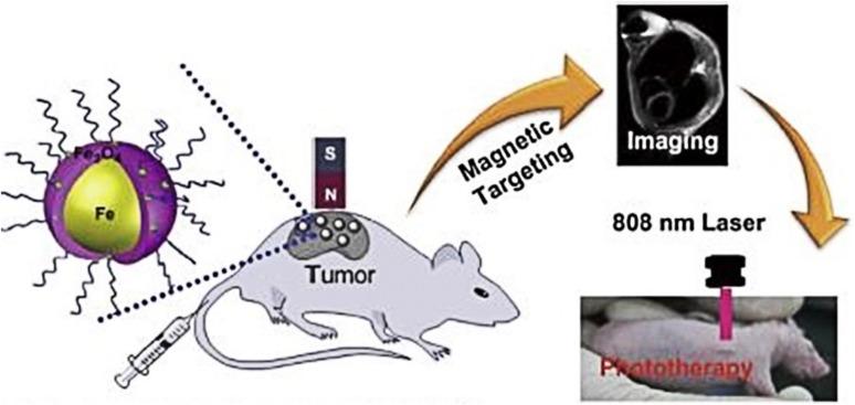 https://cdn.ncbi.nlm.nih.gov/pmc/blobs/e978/5984604/ae5e9b675418/13205_2018_1286_Fig9_HTML.jpg