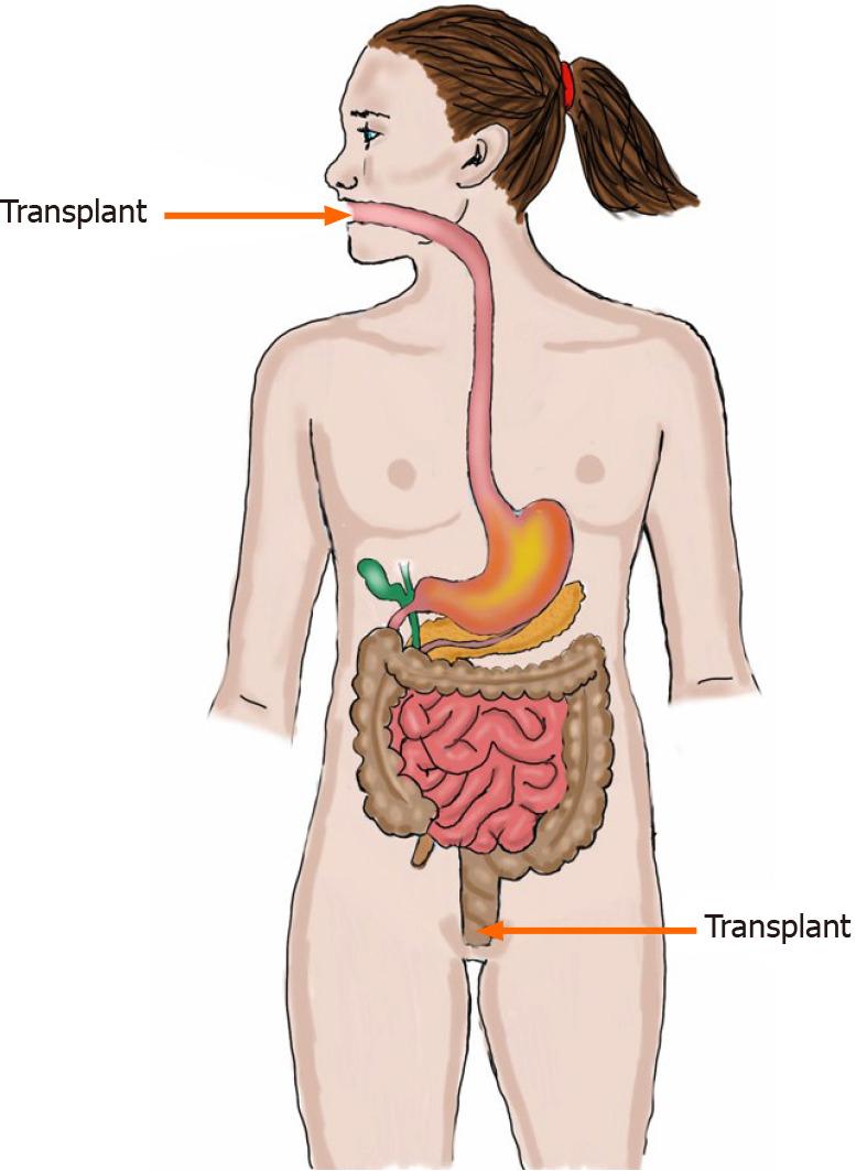 https://cdn.ncbi.nlm.nih.gov/pmc/blobs/e978/8192290/b742cb26c36a/WJG-27-2921-g005.jpg