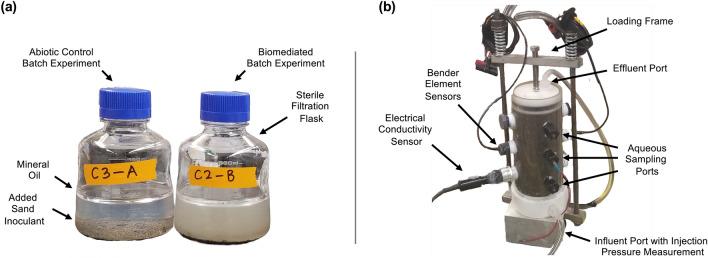 https://cdn.ncbi.nlm.nih.gov/pmc/blobs/e979/10468516/d91640596222/41598_2023_41402_Fig1_HTML.jpg