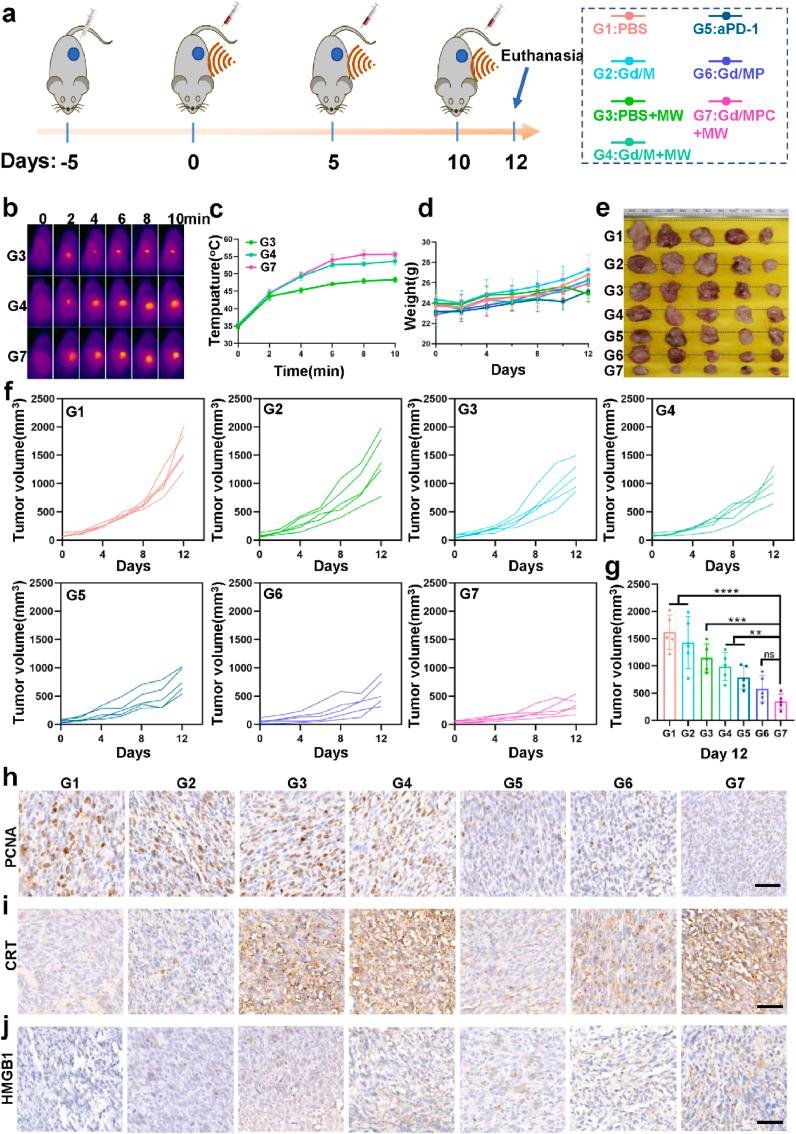 https://cdn.ncbi.nlm.nih.gov/pmc/blobs/e979/10755491/111cf08eb0a4/gr6.jpg