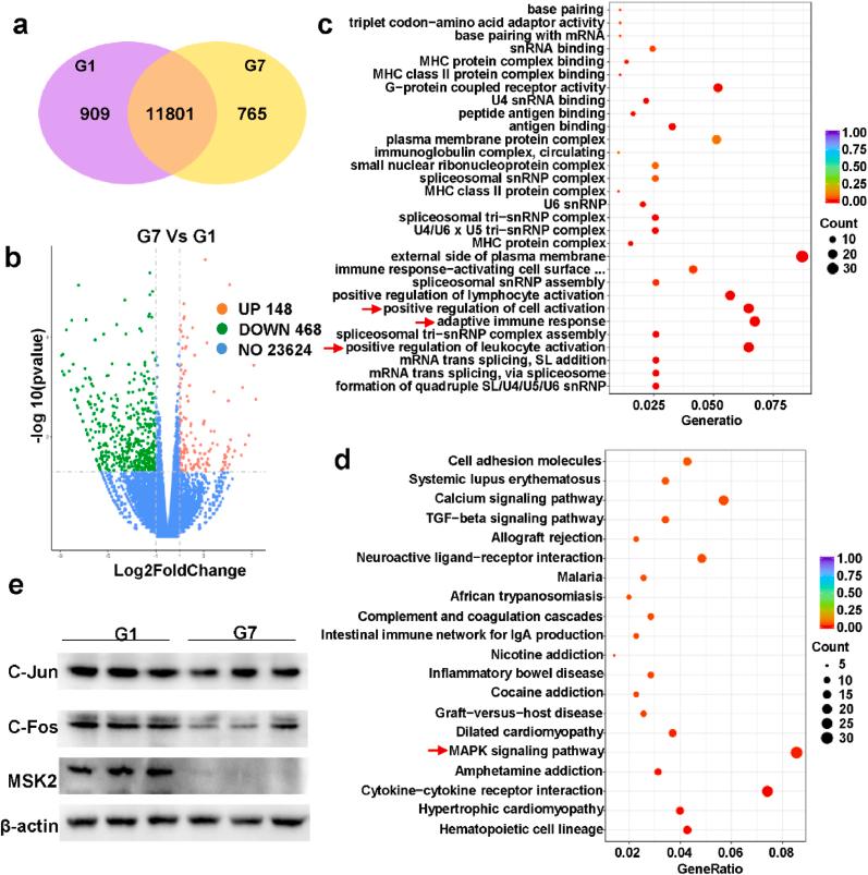 https://cdn.ncbi.nlm.nih.gov/pmc/blobs/e979/10755491/27009be0d7c9/gr8.jpg