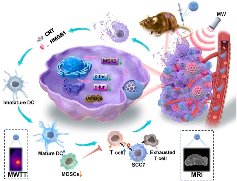 https://cdn.ncbi.nlm.nih.gov/pmc/blobs/e979/10755491/84199845de12/ga1.jpg
