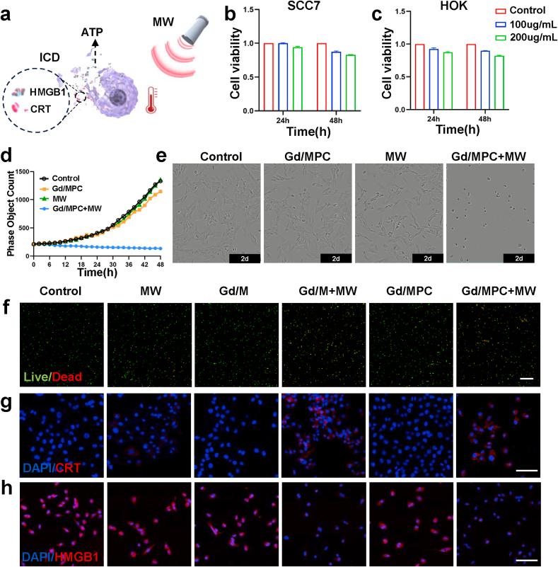 https://cdn.ncbi.nlm.nih.gov/pmc/blobs/e979/10755491/d709268b9a33/gr4.jpg