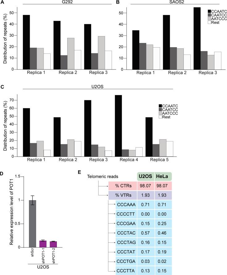 https://cdn.ncbi.nlm.nih.gov/pmc/blobs/e97c/12316455/60d3161cfd45/elife-106657-fig3-figsupp1.jpg