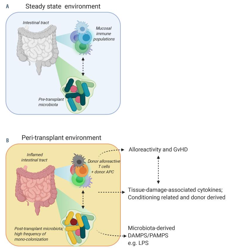 https://cdn.ncbi.nlm.nih.gov/pmc/blobs/e97c/8327718/2c38210c0223/1062042.fig2.jpg