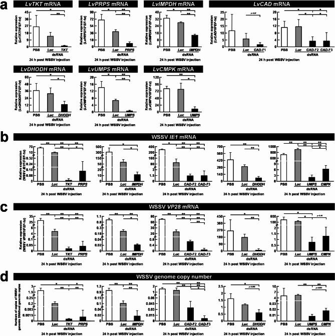 https://cdn.ncbi.nlm.nih.gov/pmc/blobs/e97d/12012963/51917b223af6/12964_2025_2186_Fig6_HTML.jpg