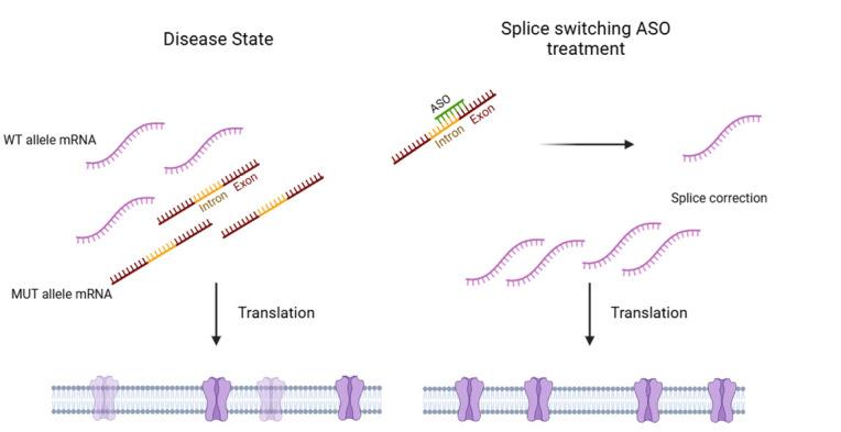 https://cdn.ncbi.nlm.nih.gov/pmc/blobs/e980/12268252/6a8747914805/j_medgen-2025-2025_fig_002.jpg