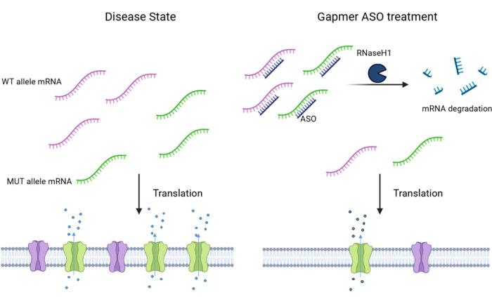 https://cdn.ncbi.nlm.nih.gov/pmc/blobs/e980/12268252/cc01c7f758cd/j_medgen-2025-2025_fig_001.jpg