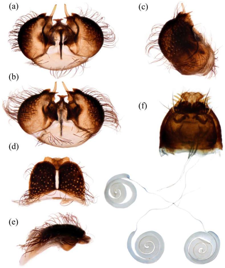 https://cdn.ncbi.nlm.nih.gov/pmc/blobs/e981/12295033/54d3e89ddba4/insects-16-00722-g012.jpg