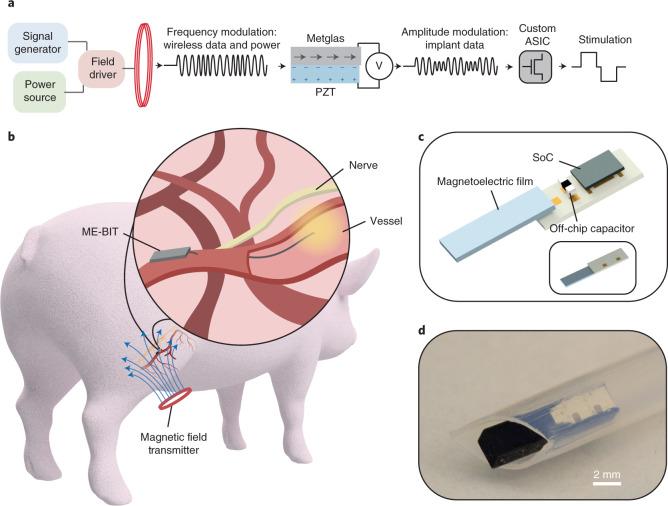 https://cdn.ncbi.nlm.nih.gov/pmc/blobs/e981/9213237/0627cde64fc9/41551_2022_873_Fig1_HTML.jpg