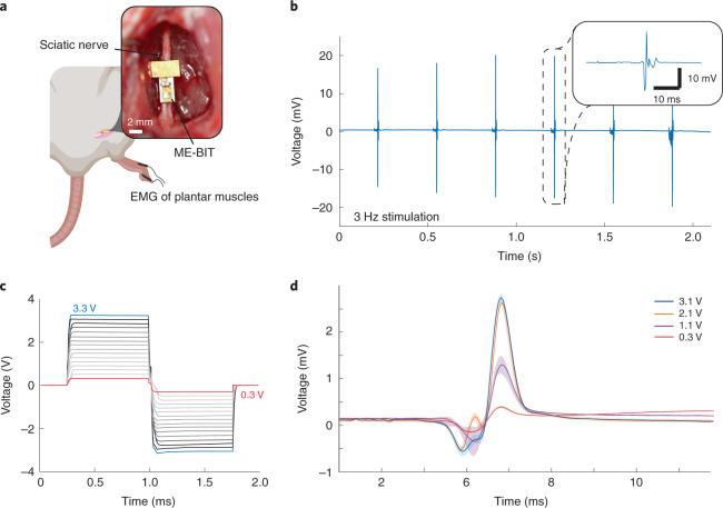 https://cdn.ncbi.nlm.nih.gov/pmc/blobs/e981/9213237/a7807351b3ba/41551_2022_873_Fig4_HTML.jpg