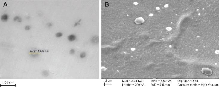 https://cdn.ncbi.nlm.nih.gov/pmc/blobs/e982/4168883/236e8f153d93/ijn-9-4331Fig5.jpg