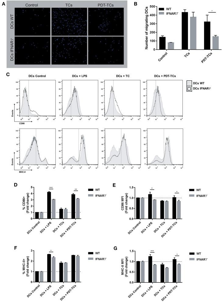 https://cdn.ncbi.nlm.nih.gov/pmc/blobs/e982/6856948/809c486f834f/fimmu-10-02614-g0004.jpg