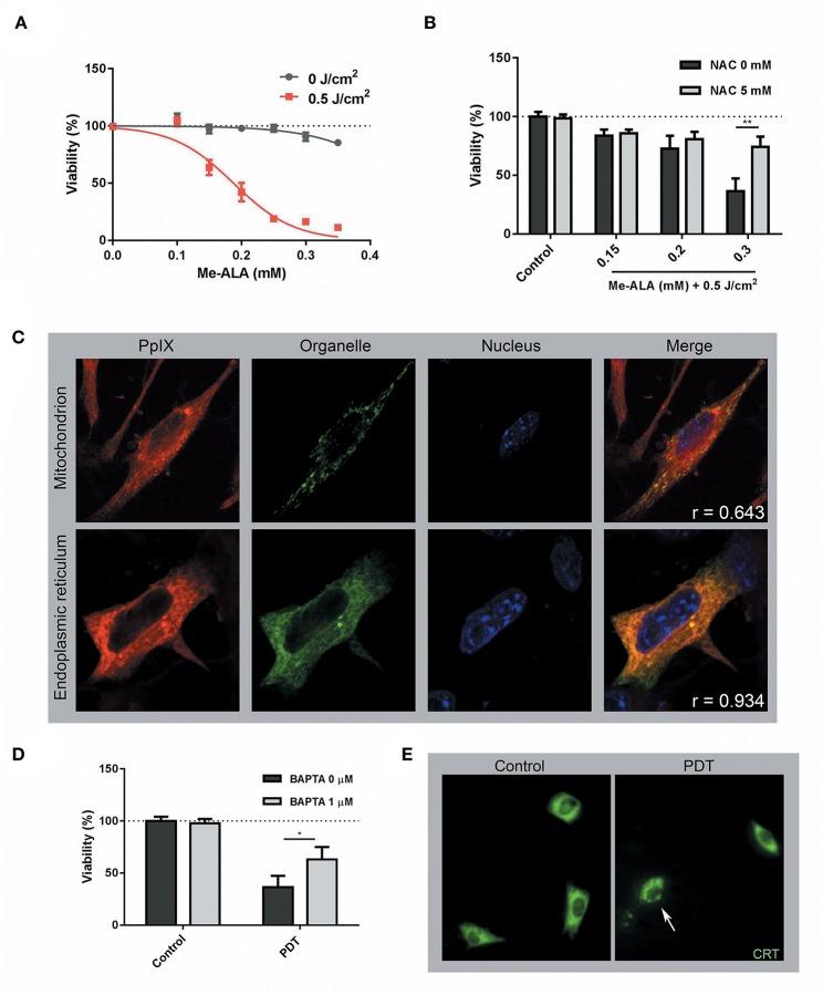 https://cdn.ncbi.nlm.nih.gov/pmc/blobs/e982/6856948/8916ffad5c3c/fimmu-10-02614-g0001.jpg