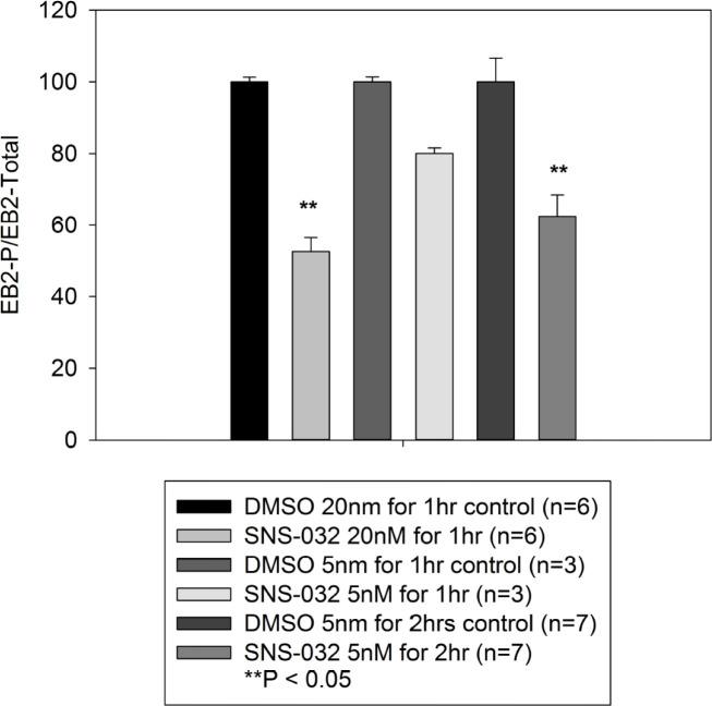 https://cdn.ncbi.nlm.nih.gov/pmc/blobs/e986/10406435/cb08933da406/elife-88206-fig6-figsupp1.jpg